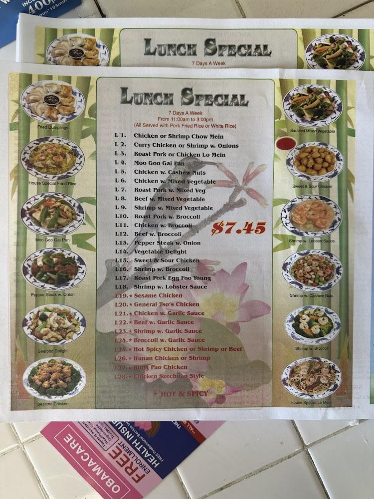 Mr. Lu Chinese Restaurant Menu image 4